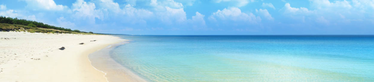 NO CO-OP FEBRUARY 26TH: HAPPY SPRING BREAK!